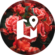 Local area image