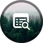Search image